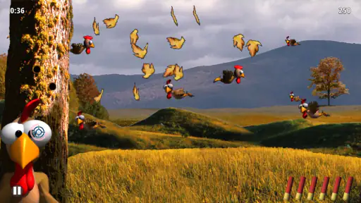 Die Original Moorhuhnjagd screenshot 12