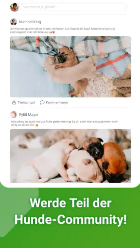 Dogorama – Die Hunde-Community screenshot 12