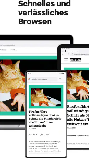 Firefox: internet browser screenshot