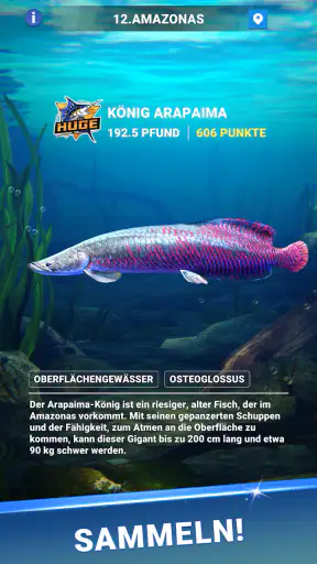 Fishing Travel screenshot 11