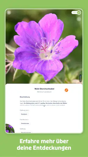 Flora Incognita screenshot 10