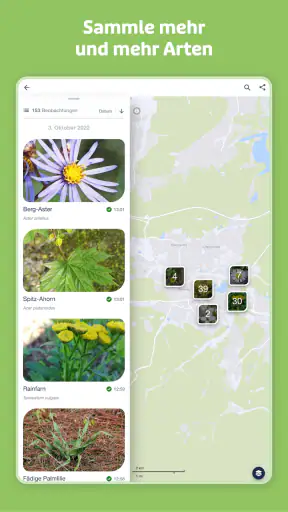 Flora Incognita screenshot 11