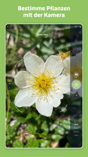 Flora Incognita screenshot 9