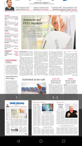 FLZ E-PAPER screenshot