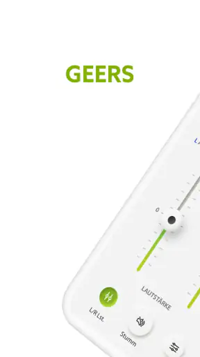 GEERS screenshot