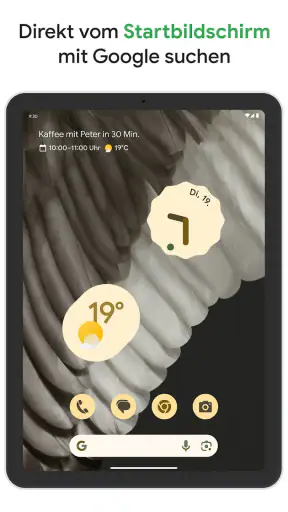 Google screenshot 9