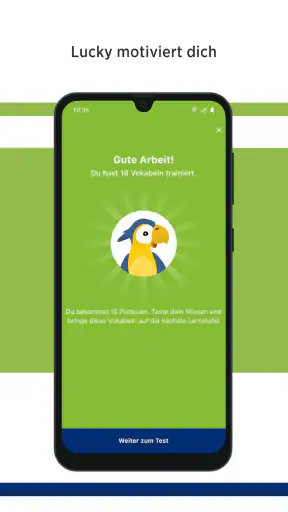 Green Line Vokabeltrainer screenshot 12