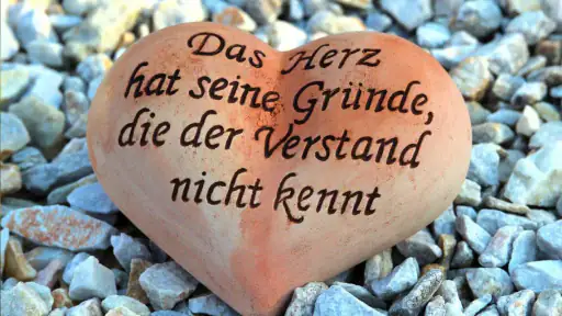 Grußkarten zu allen Anlässen screenshot 12