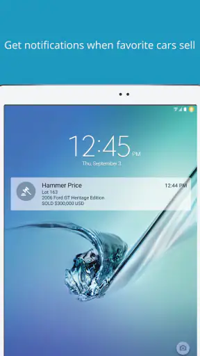 Hammer Price screenshot 9