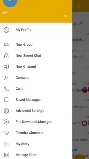 Hitel | طلایی گرام بدون فیلتر screenshot 10