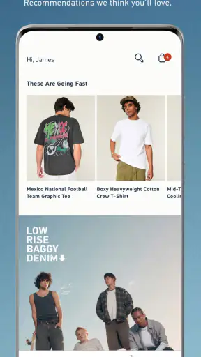 Hollister Co. screenshot