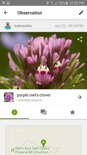 iNaturalist screenshot