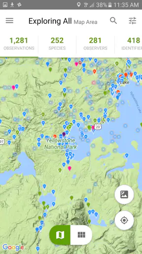 iNaturalist screenshot
