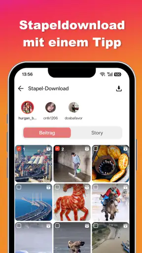 Ins Video- und Foto-Downloader screenshot 11