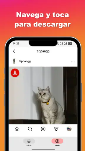Ins Video- und Foto-Downloader screenshot