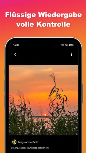 Ins Video- und Foto-Downloader screenshot