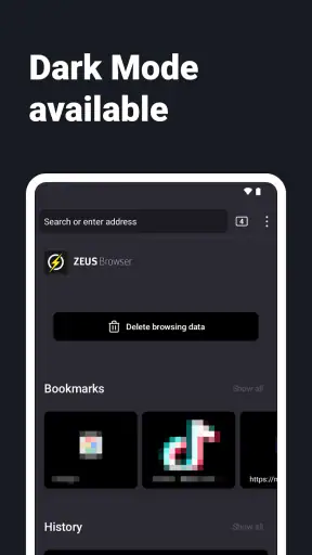 Internet Web Browser - ZEUS screenshot