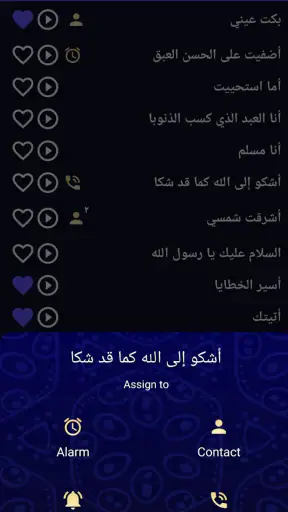 Islamic Ringtones and Songs screenshot