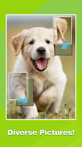 Jigblock Puzzle screenshot 11