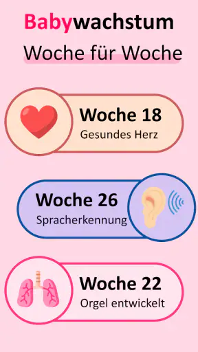 Mein schwangerschafts app screenshot