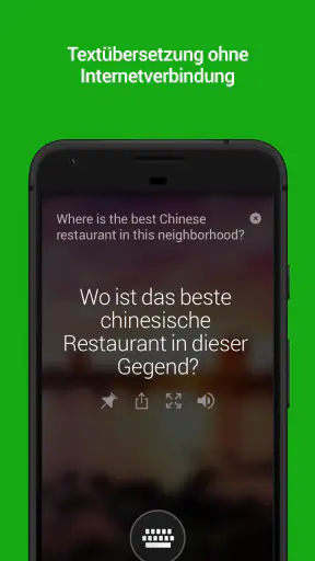 Microsoft Translator screenshot