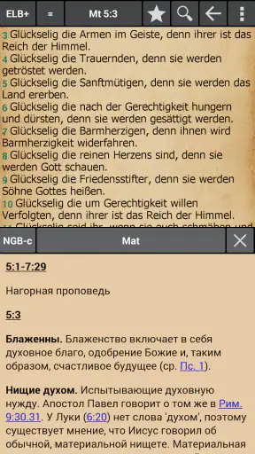 MyBible - Bibel screenshot
