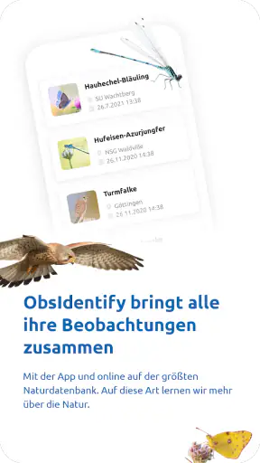 ObsIdentify screenshot