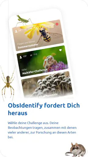 ObsIdentify screenshot