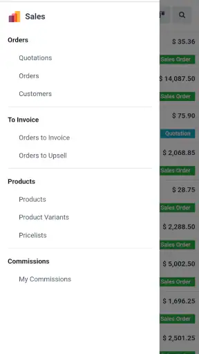 Odoo screenshot