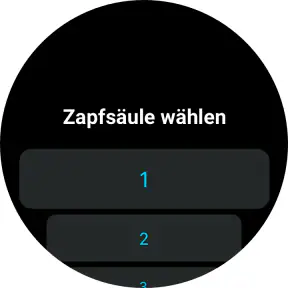PACE Drive: Günstig tanken screenshot 10
