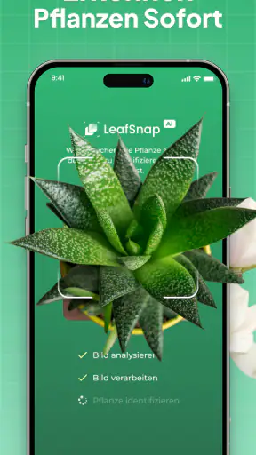 Pflanzen Bestimmen: LeafSnap screenshot