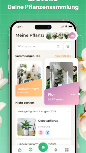 Pflanzen Bestimmen: LeafSnap screenshot