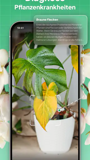 Pflanzen Bestimmen: LeafSnap screenshot