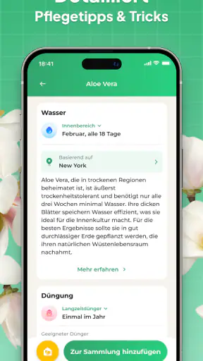 Pflanzen Bestimmen: LeafSnap screenshot