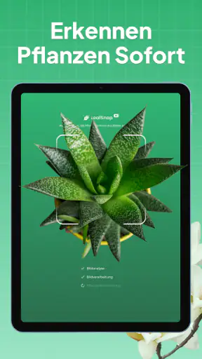Pflanzen Bestimmen: LeafSnap screenshot