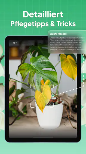Pflanzen Bestimmen: LeafSnap screenshot 9