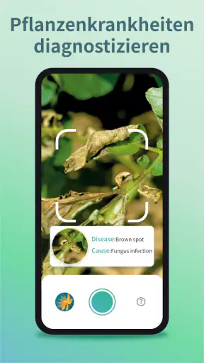 Pflanzenerkennung & Pflege screenshot