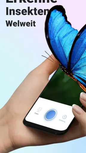 Picture Insect - Insekten ID screenshot