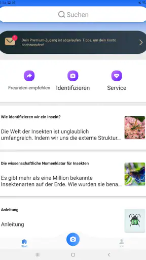Picture Insect - Insekten ID screenshot 10