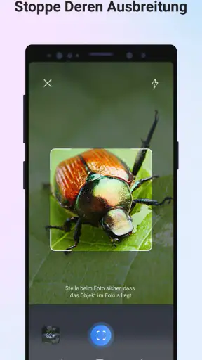 Picture Insect - Insekten ID screenshot
