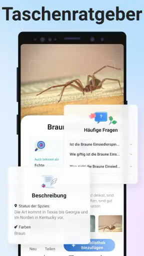 Picture Insect - Insekten ID screenshot