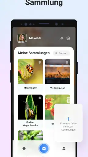 Picture Insect - Insekten ID screenshot