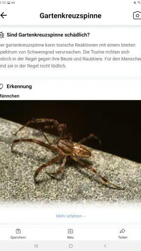 Picture Insect - Insekten ID screenshot 9