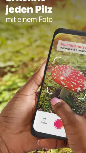 Picture Mushroom - Pilzführer screenshot