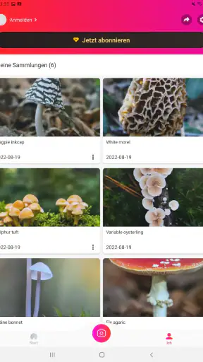 Picture Mushroom - Pilzführer screenshot 10