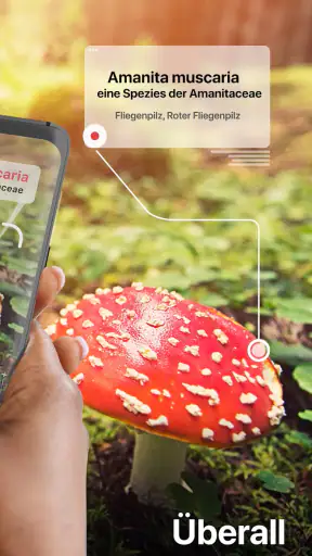 Picture Mushroom - Pilzführer screenshot