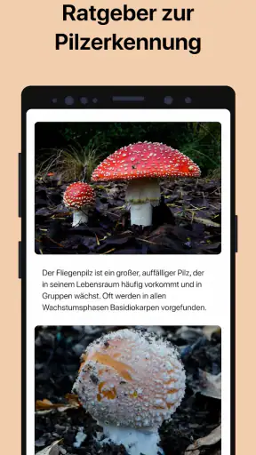 Picture Mushroom - Pilzführer screenshot