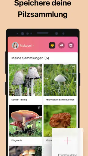 Picture Mushroom - Pilzführer screenshot