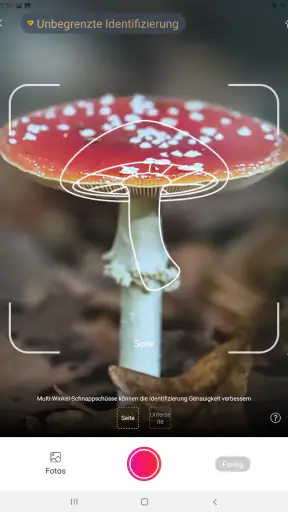 Picture Mushroom - Pilzführer screenshot