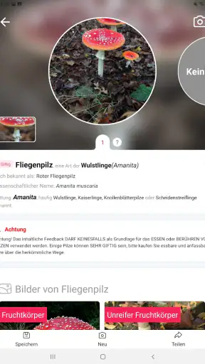 Picture Mushroom - Pilzführer screenshot